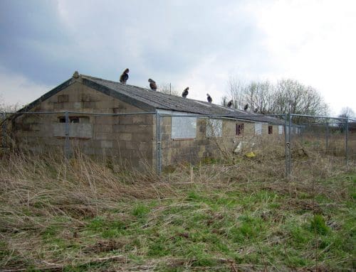Two dwellings in South Ribble Green Belt.