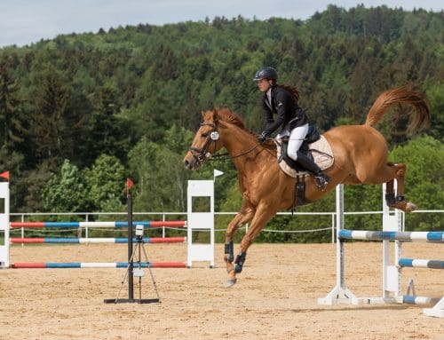 Bespoke stables and Olympic sized riding arena